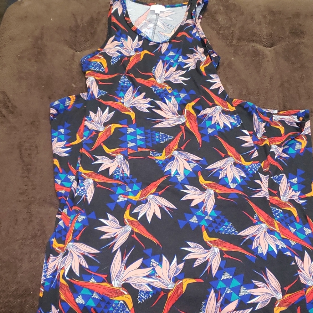 Lularoe-Dani Dress